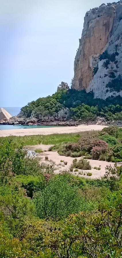 Agriturismo Muristene Villa Dorgali Eksteriør bilde