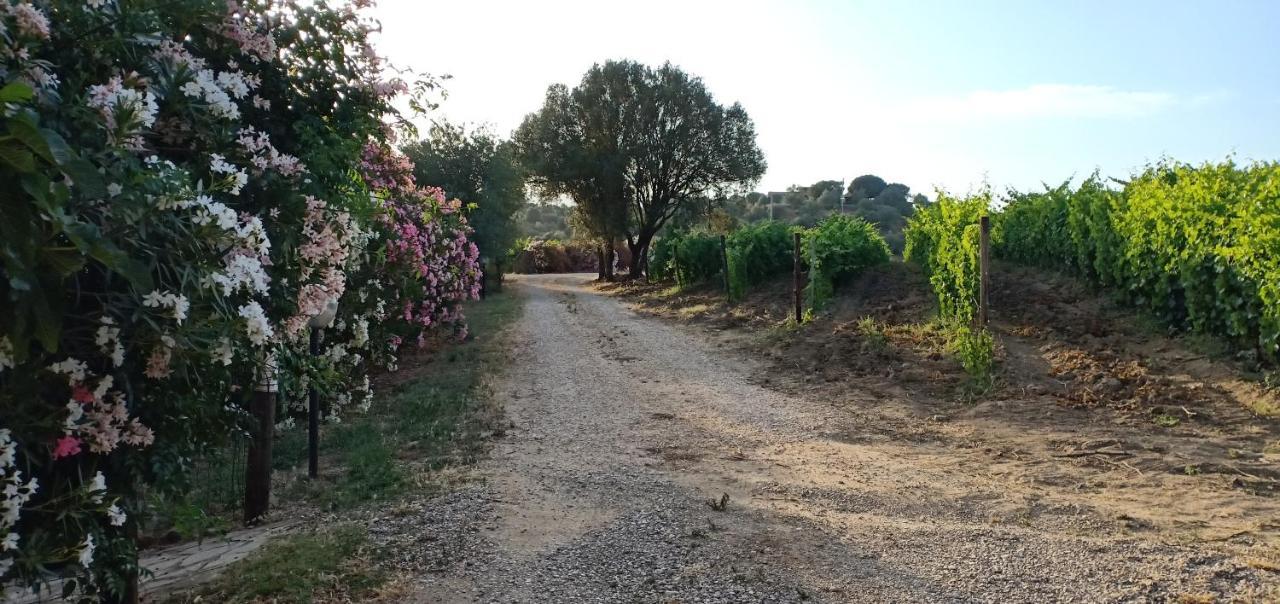 Agriturismo Muristene Villa Dorgali Eksteriør bilde