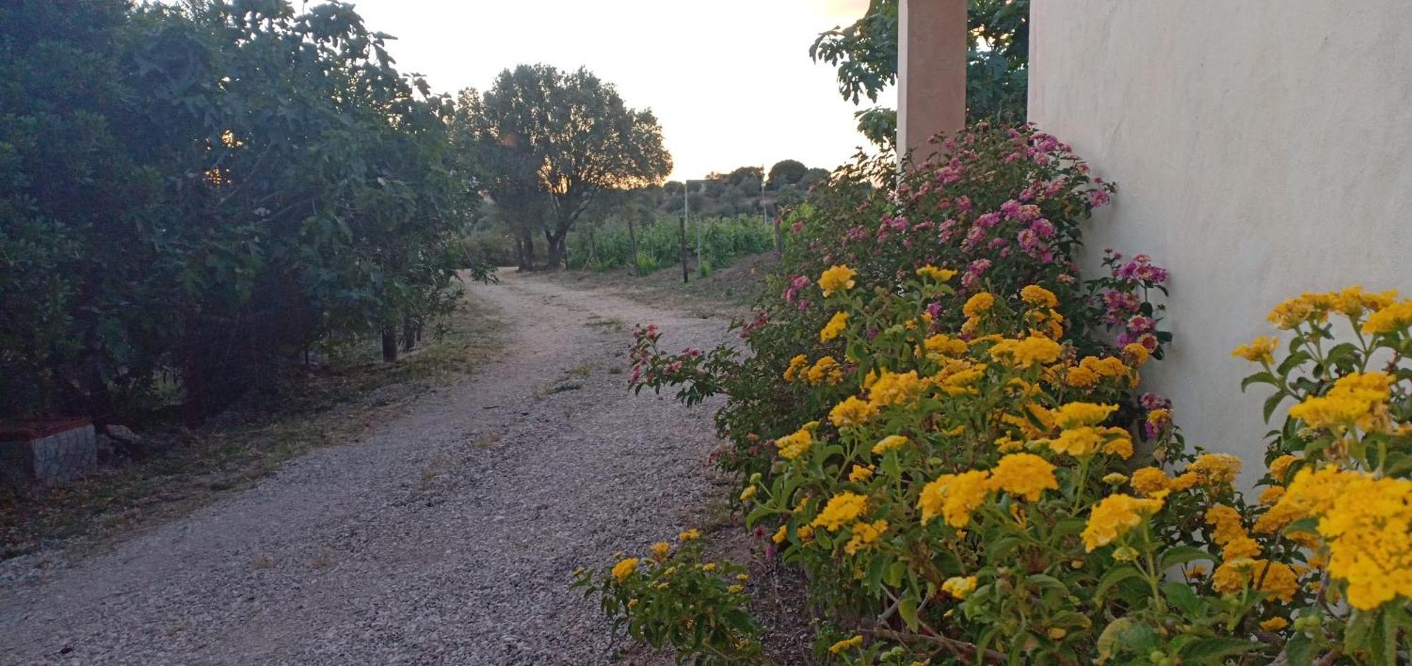 Agriturismo Muristene Villa Dorgali Eksteriør bilde